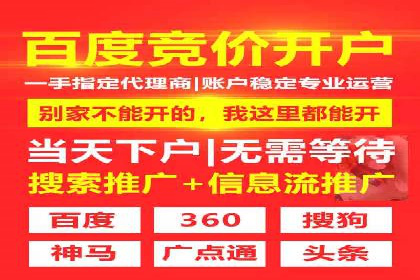 谷歌SEM案例研究：广告预算分配与优化